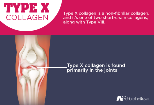 Type X Collagen